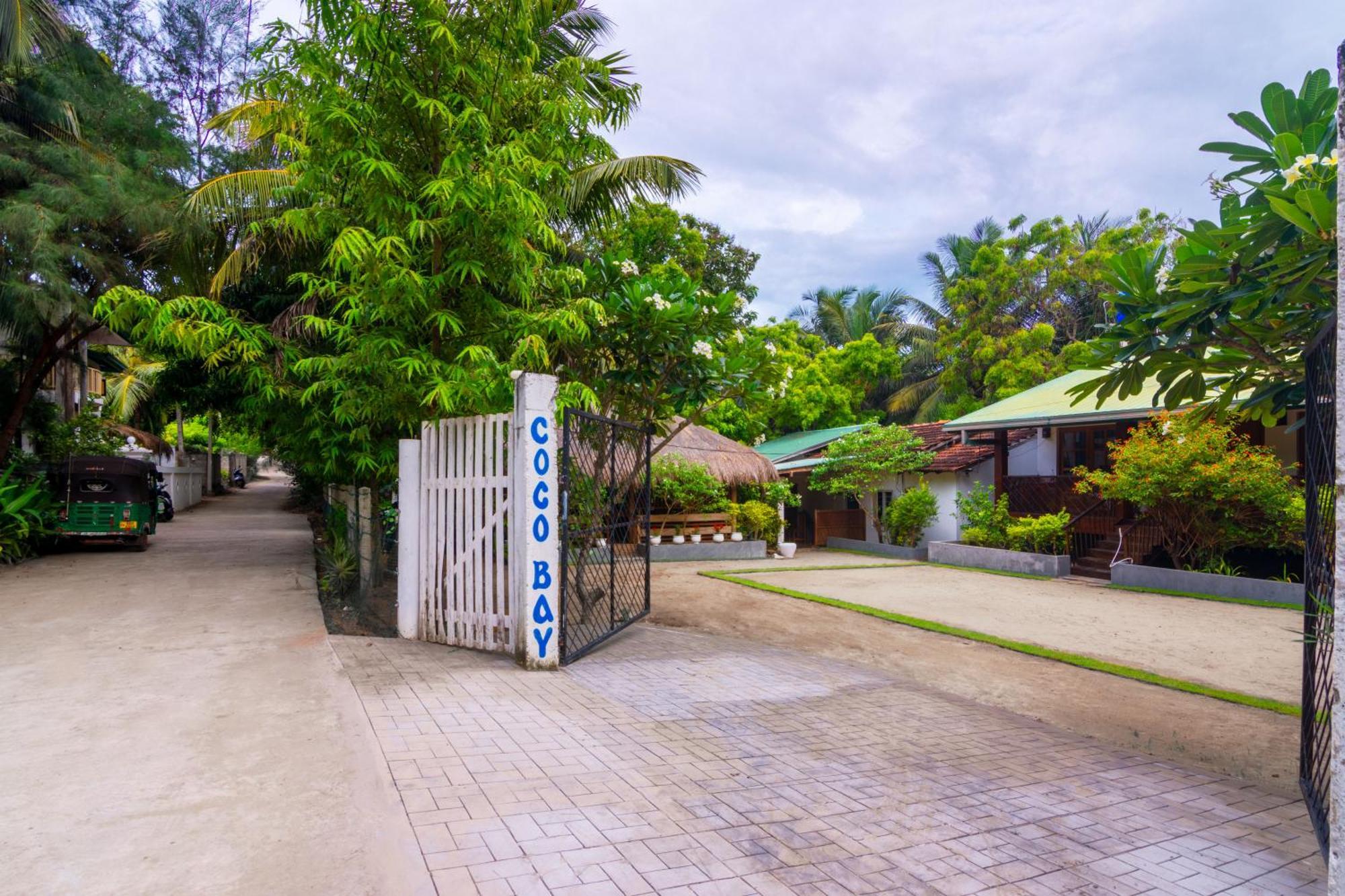 阿鲁甘湾 Arugambay Coco Bay酒店 客房 照片